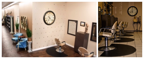 Home Page Topper of Salon
